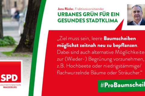 Urbanes Grün für ein gesundes Stadtklima - Pro Baumscheibe!