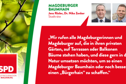 Magdeburger Baumhain