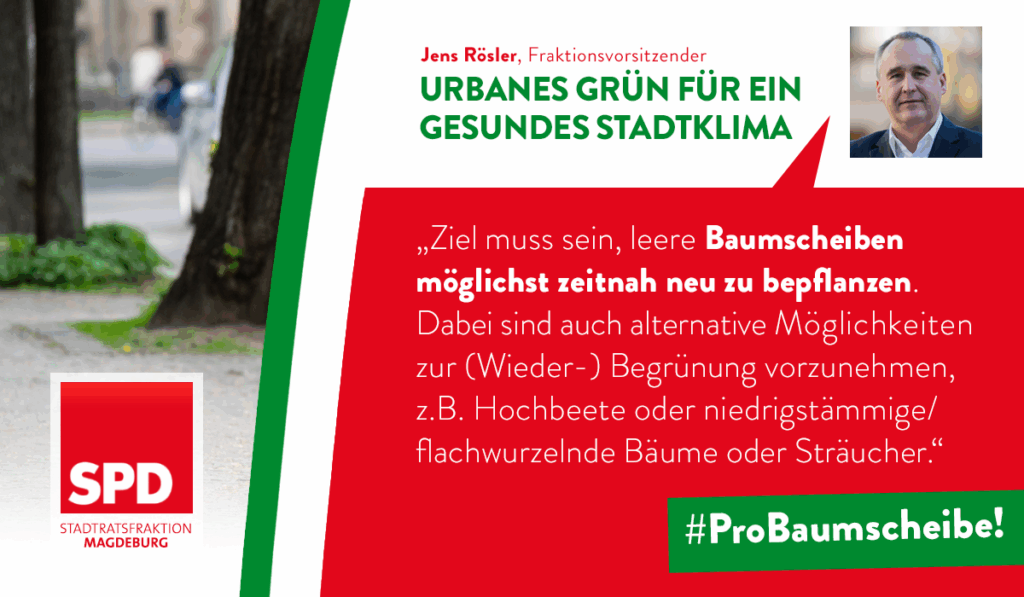 Urbanes Grün für ein gesundes Stadtklima - Pro Baumscheibe!