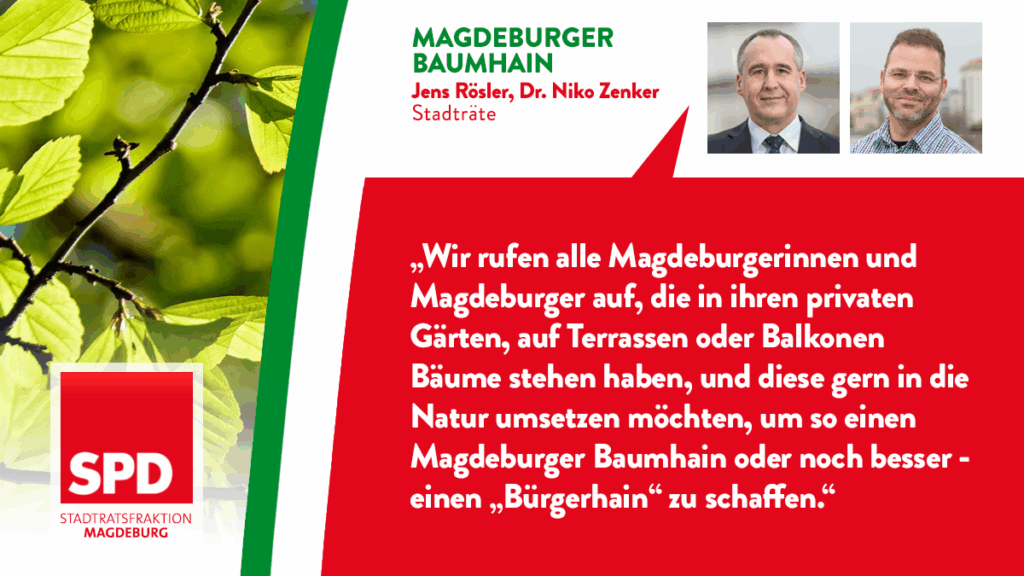 Magdeburger Baumhain